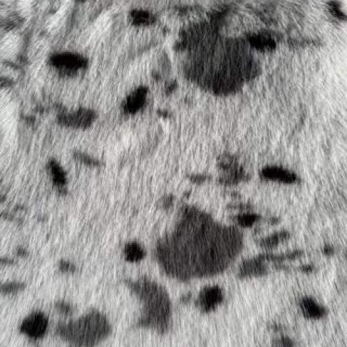  FAUX FOX FUR FABRIC