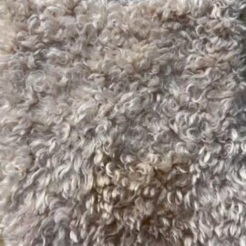  FAUX SHEARLING FABRIC