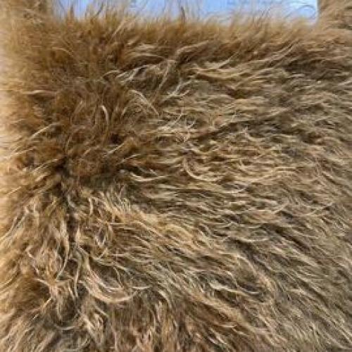  FAUX MONGOLIAN FUR FABRIC